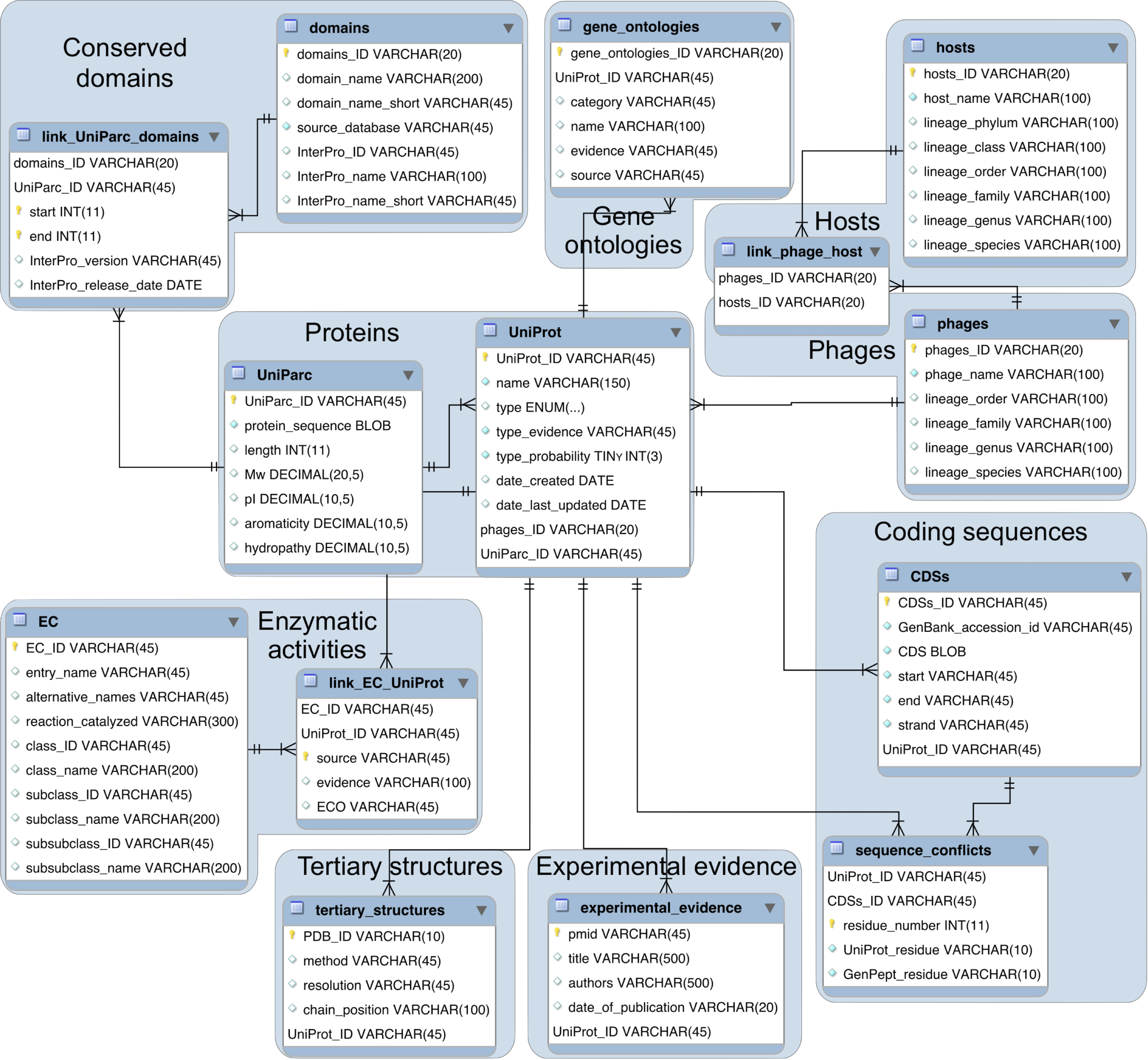 EER Diagram